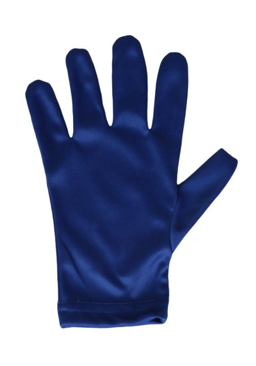 Blue Gloves - US 7527