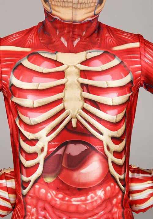 Anatomical Model Costume for Kids - US 0297