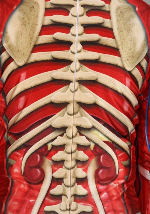 Anatomical Model Costume for Kids - US 0297