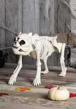 11-Inch Bones the Hungry Hound Skeleton Dog Decoration - US 6170