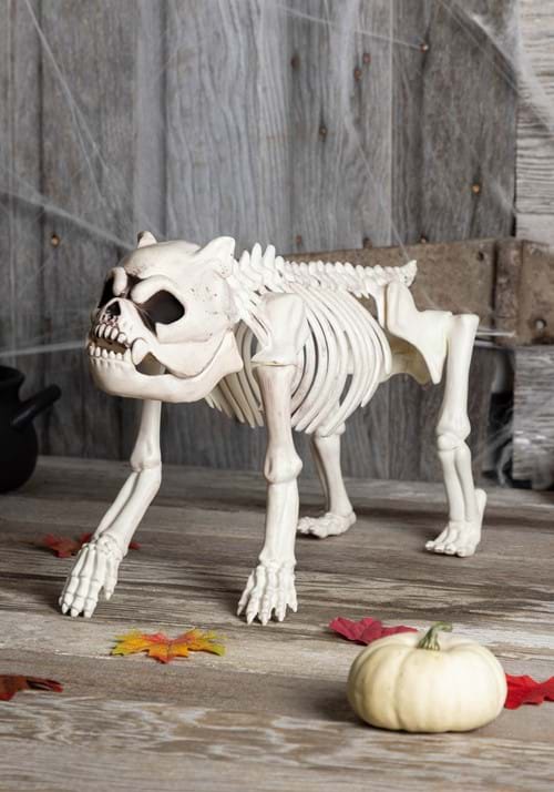11-Inch Bones the Hungry Hound Skeleton Dog Decoration - US 6170