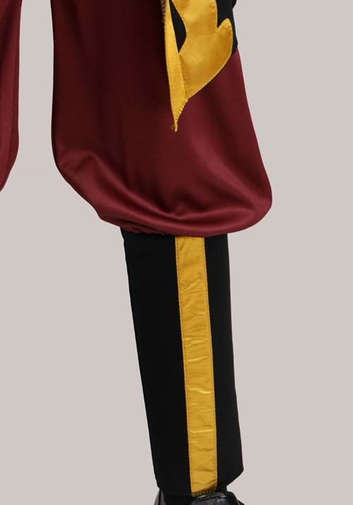 Boy's Deluxe Prince Zuko Costume - US 9458