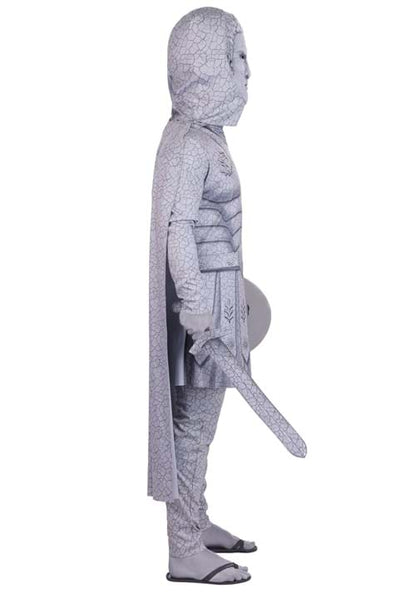 Boy's Turned to Stone Warrior Costume - US 9533