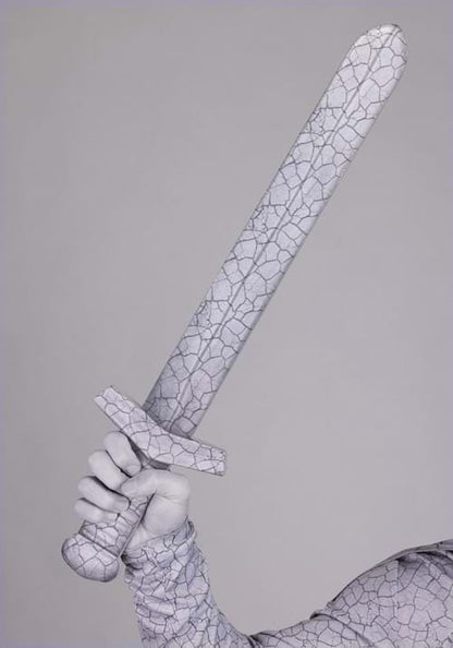 Boy's Turned to Stone Warrior Costume - US 9533