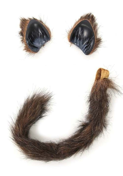 Furry Brown Cat Ears and Tail - US 3965