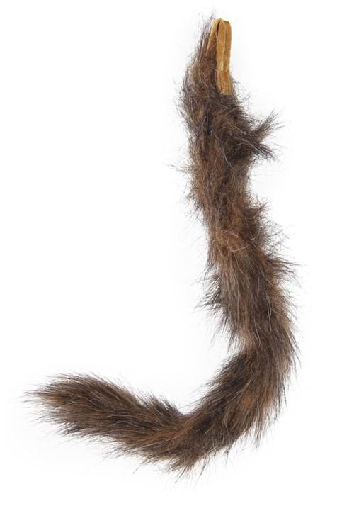 Furry Brown Cat Ears and Tail - US 3965