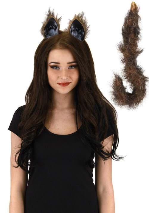 Furry Brown Cat Ears and Tail - US 3965