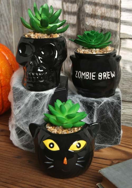 Cauldron, Cat & Skeleton Succulent Decorative Planter Set - US 4666