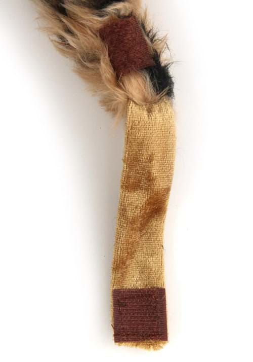 Cheetah Ears and Tail Costume Accessory Kit - US 6486