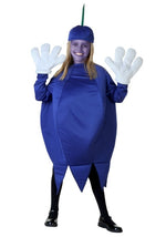 Blueberry Costume for Kids - US 4984