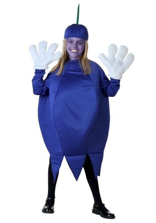 Blueberry Costume for Kids - US 4984