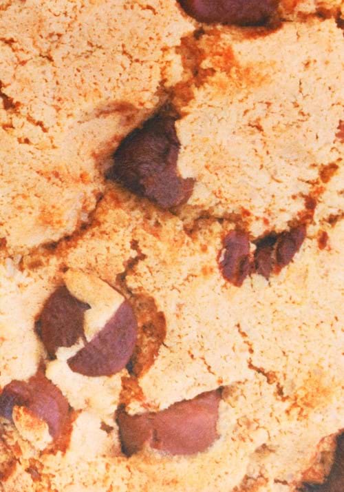 Kid's Chocolate Chip Cookie Costume - US 9754
