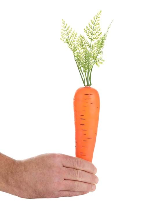 Bunny Carrot Prop - US 9634