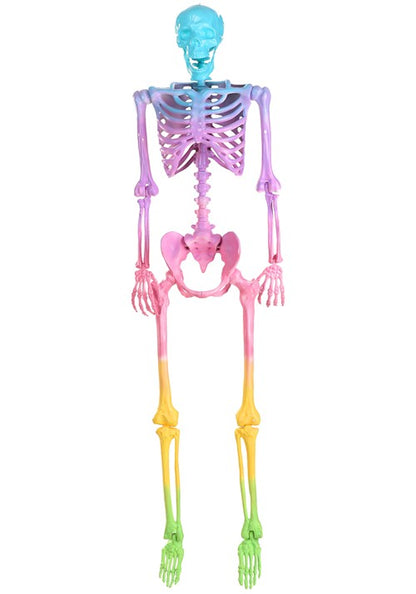5FT Crazy Bones Poseable Skeleton in Rainbow Decoration - US 0011