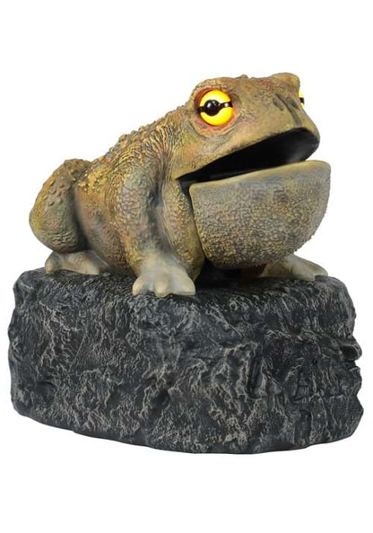 Croaking Toad Light Up Decoration - US 9349