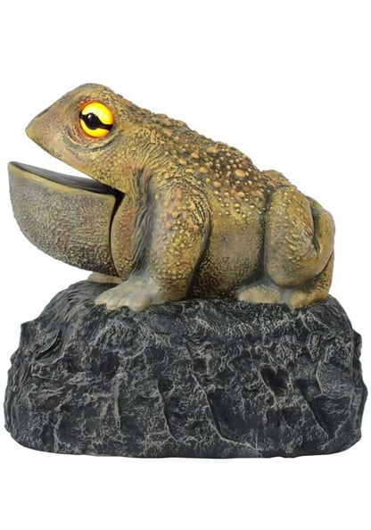 Croaking Toad Light Up Decoration - US 9349