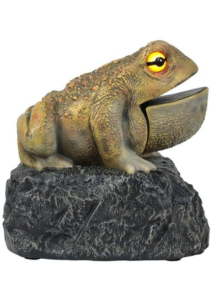 Croaking Toad Light Up Decoration - US 9349