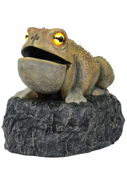 Croaking Toad Light Up Decoration - US 9349