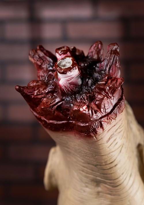 12-Inch Decapitated Old Man Head Decoration - US 3888