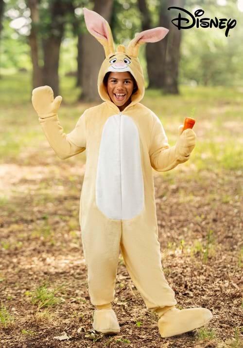 Deluxe Disney Winnie the Pooh Rabbit Costume for Kids - US 2128