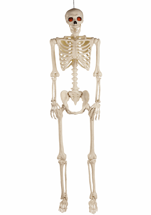 5FT Deluxe Flaming Light Up Eyes & Talking Skeleton Halloween Decoration - US 5203