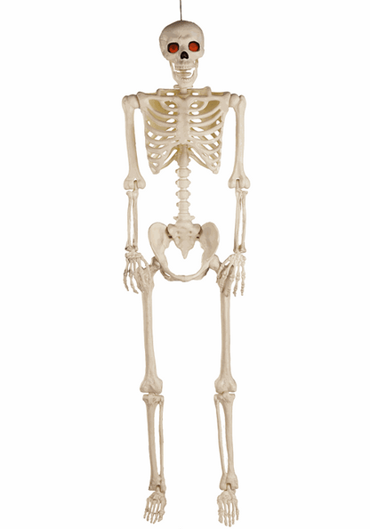 5FT Deluxe Flaming Light Up Eyes & Talking Skeleton Halloween Decoration - US 5203
