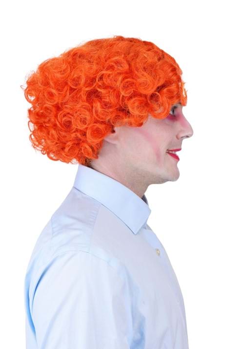 Adult Disney Mad Hatter Costume Wig & Eyebrows - US 4134