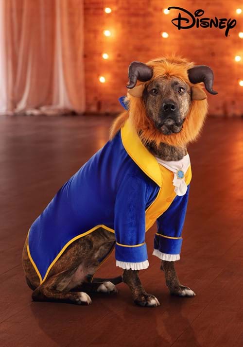 Disney Beauty and the Beast Pet Costume - US 1649