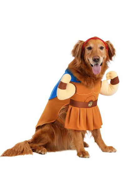 Disney Pet Hercules Costume - US 4200