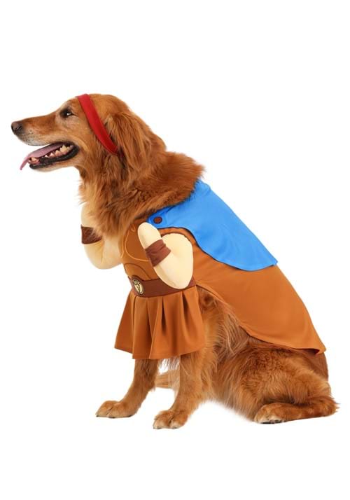 Disney Pet Hercules Costume - US 4200
