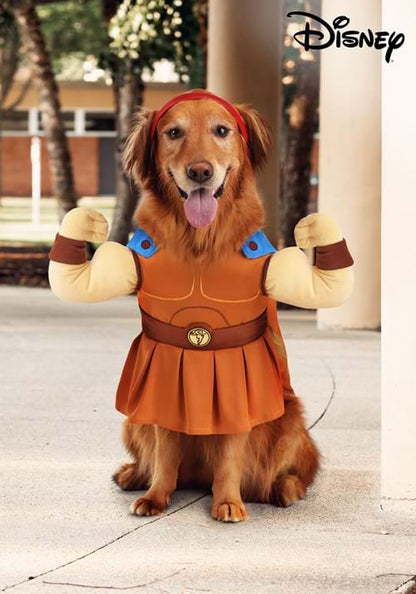 Disney Pet Hercules Costume - US 4200
