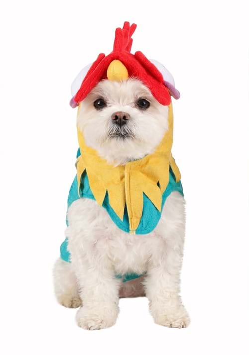 Disney Moana Hei Hei Pet Costume - US 4526
