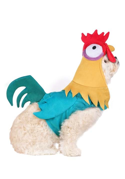 Disney Moana Hei Hei Pet Costume - US 4526