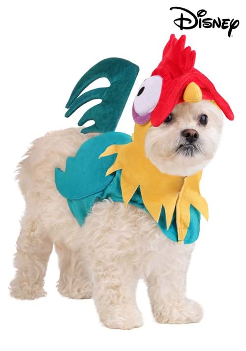 Disney Moana Hei Hei Pet Costume - US 4526
