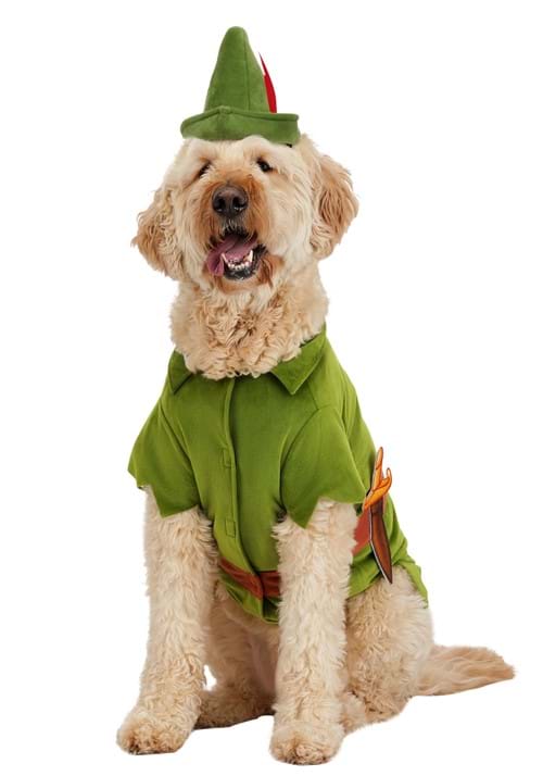 Disney Peter Pan Pet Costume - US 5314