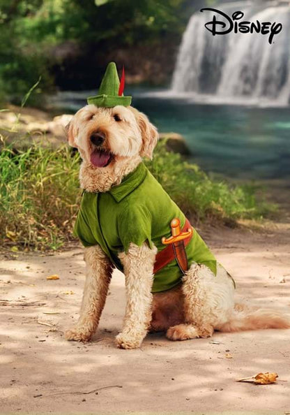 Disney Peter Pan Pet Costume - US 5314