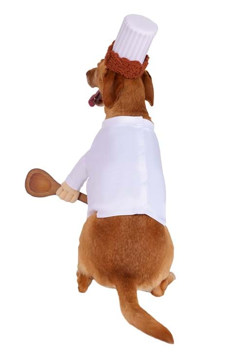 Disney Pixar Alfredo Linguini Ratatouille Pet Costume - US 5071