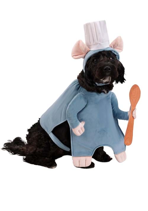 Disney Pixar Remy Pet Costume - US 4101