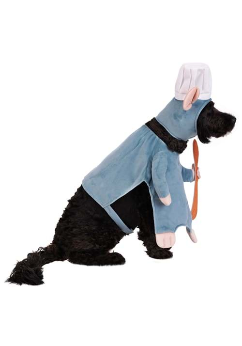 Disney Pixar Remy Pet Costume - US 4101