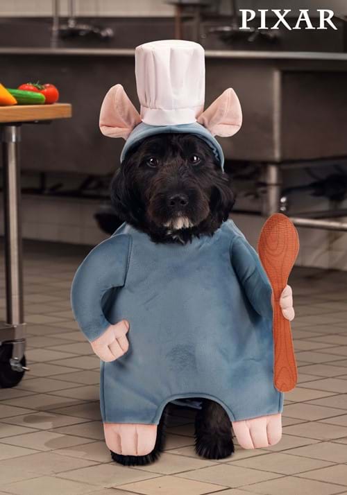 Disney Pixar Remy Pet Costume - US 4101