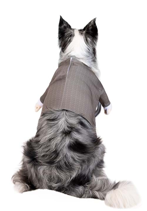Disney Pixar Up Pet Carl Costume - US 6615