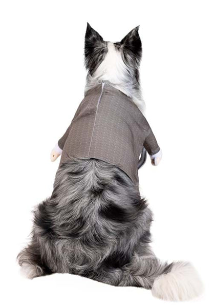 Disney Pixar Up Pet Carl Costume - US 6615