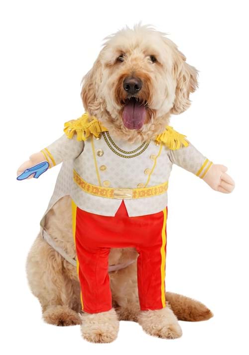 Disney Prince Charming Pet Costume - US 5414