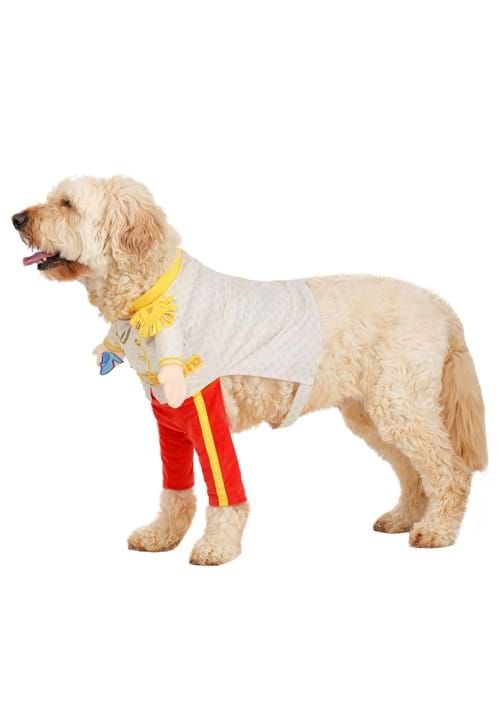 Disney Prince Charming Pet Costume - US 5414