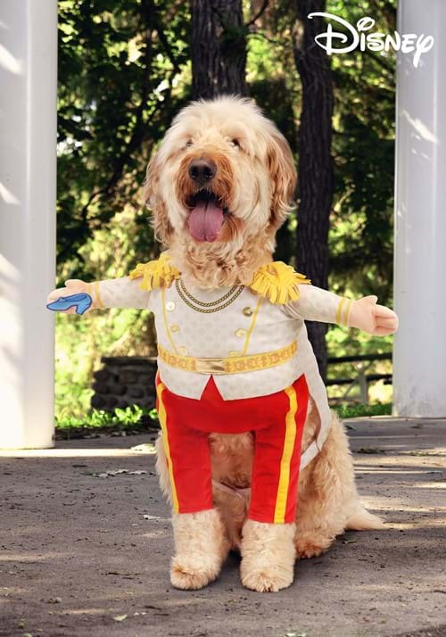 Disney Prince Charming Pet Costume - US 5414