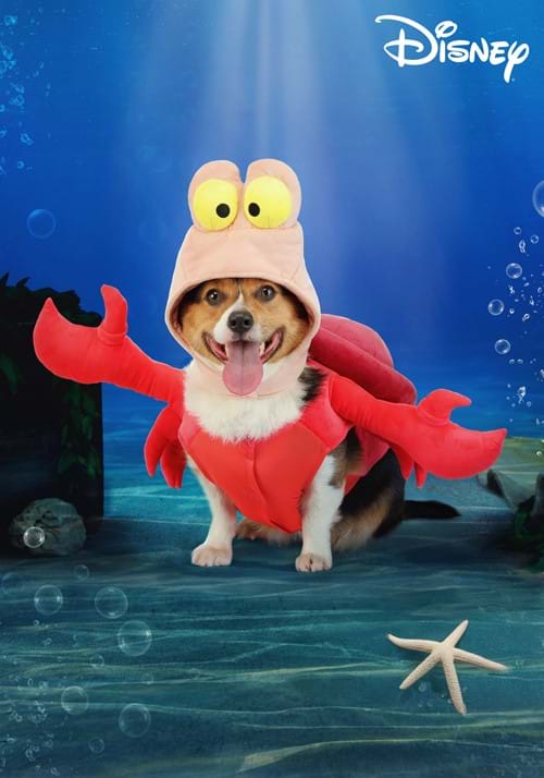 Disney Sebastian Pet Costume - US 4728