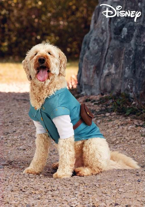 Disney Tangled Flynn Rider Costume for Pets - US 9424