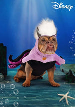 Disney The Little Mermaid Pet Ursula Costume - US 9649