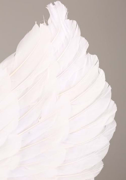 White Divine Angel Wings - US 1204