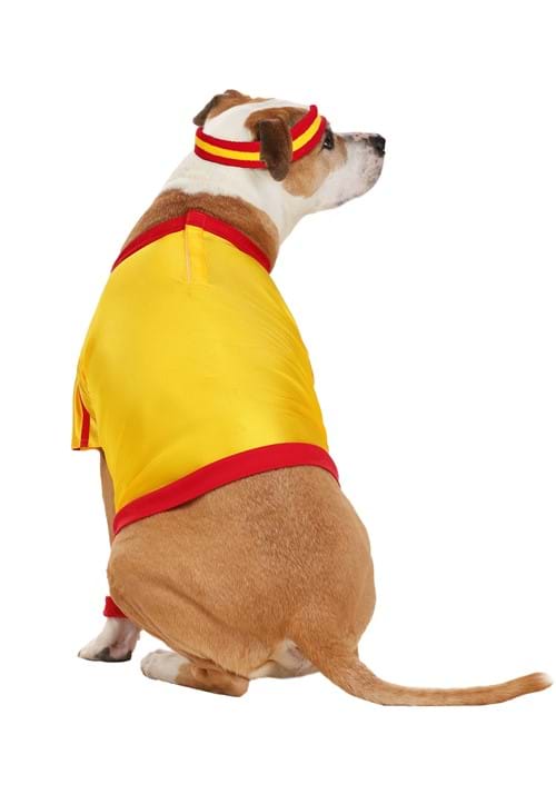 Dodgeball Average Joe's Pet Costume - US 0014